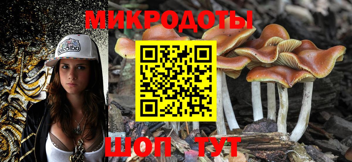 Псилоцибиновые грибы GOLDEN TEACHER Красноярск