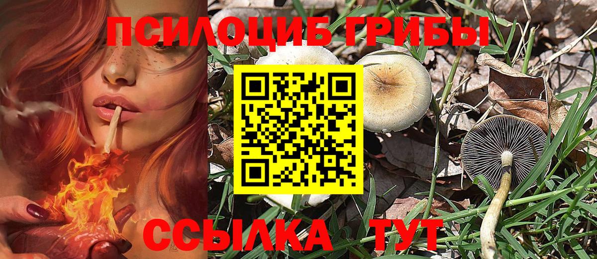 Красноярск  Галлюциногенные грибы мухоморы  Вход с VPN 